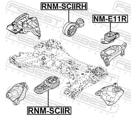FEBEST Mounting, engine (RNM-SCIIR)