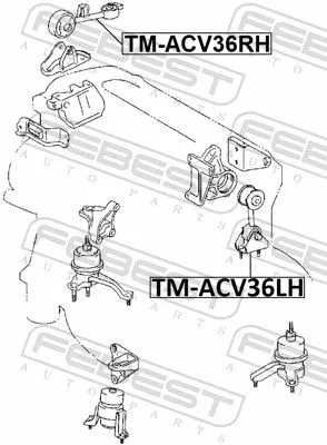 FEBEST Mounting, engine (TM-ACV36LH)