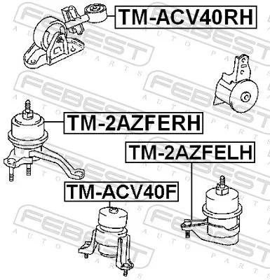FEBEST Mounting, engine (TM-ACV40F)