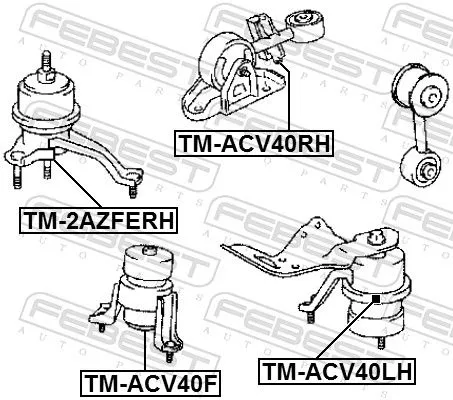 FEBEST Mounting, engine (TM-ACV40LH)