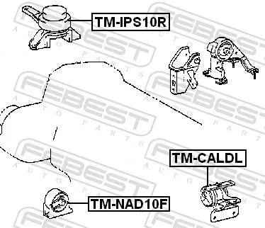 FEBEST Mounting, engine (TM-NAD10F)
