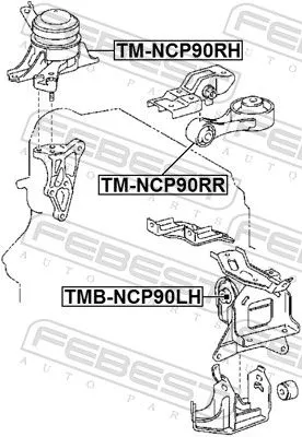 FEBEST Mounting, engine (TM-NCP90RR)