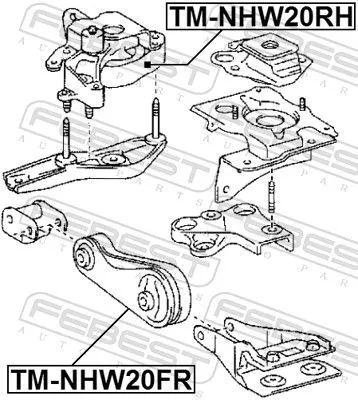 FEBEST Mounting, engine (TM-NHW20RH)