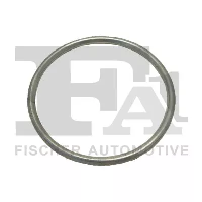 Seal Ring, exhaust pipe