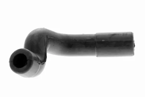 Hose, cylinder head cover ventilation