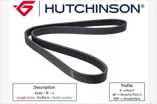 HUTCHINSON V-Ribbed Belt (1051 SK 7)