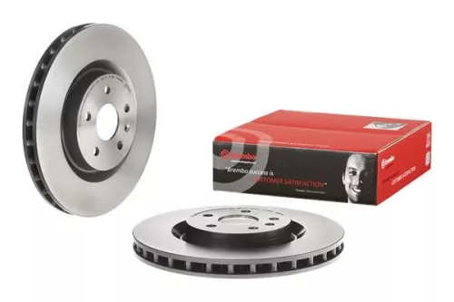 BREMBO Brake Disc (09.8906.31)
