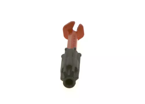 Plug, spark plug