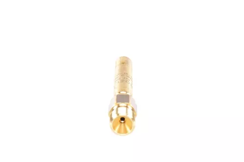 BOSCH Injector (0 437 502 058)
