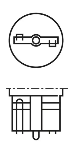 BOSCH Bulb, direction indicator (1 987 302 205)