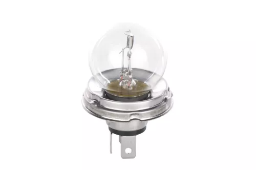 BOSCH Bulb (1 987 302 421)