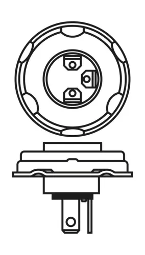 BOSCH Bulb (1 987 302 421)