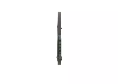 BOSCH V-Belt (1987947659)