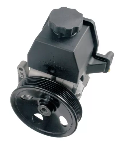 BOSCH Hydraulic Pump, steering (K S00 000 587)