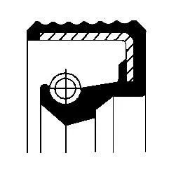 Seal Ring