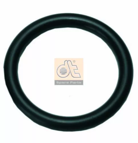 DT Spare Parts Seal Ring, charger (4.20448)