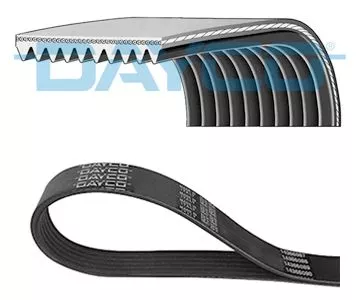 DAYCO V-Ribbed Belt (10PK1385HD)
