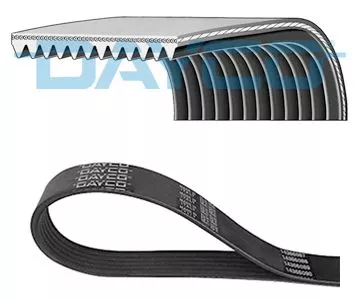 DAYCO V-Ribbed Belt (11PK2835HD)