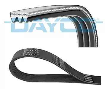 DAYCO V-Ribbed Belt (3PK775)
