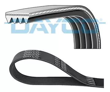 DAYCO V-Ribbed Belt (4PK922EE)