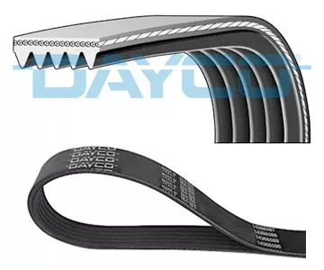 DAYCO V-Ribbed Belt (5PK1030)
