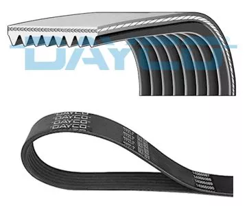 DAYCO V-Ribbed Belt (8PK1815HD)