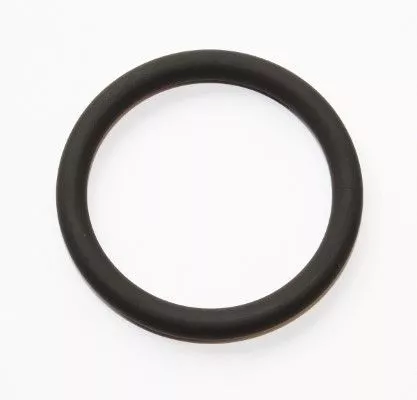 Seal Ring