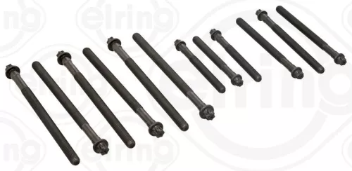 ELRING Cylinder Head Bolt Set (527.450)