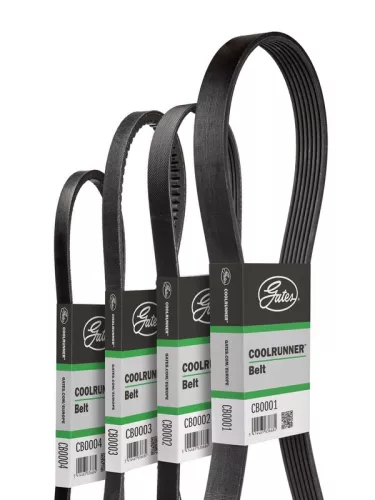 V-Belt