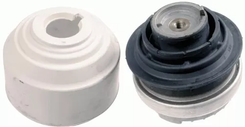 LEMFORDER Mounting, engine (22407 01)