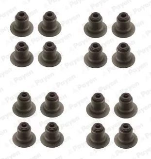 PAYEN Seal Set, valve stem (HR5141)
