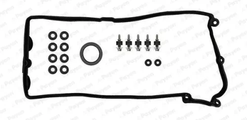 PAYEN Gasket Set, cylinder head cover (HM5296)