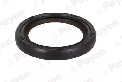 PAYEN Shaft Seal, crankshaft (NA5501)