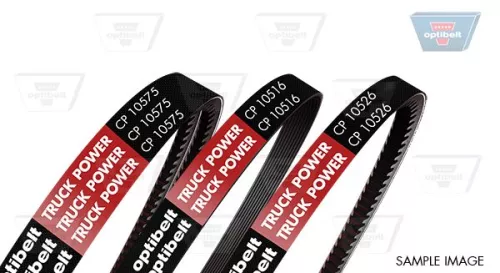 OPTIBELT V-Belt (CP10589)