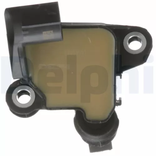 DELPHI Ignition Coil (GN10691-12B1)