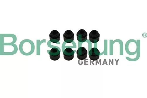 Borsehung Seal Ring, valve stem (B19239)