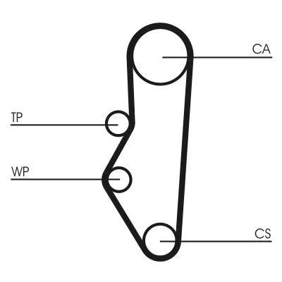 Timing Belt