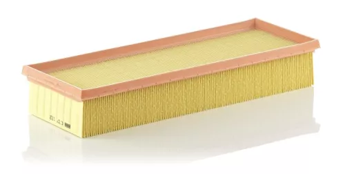 MANN-FILTER Air Filter (C37132)