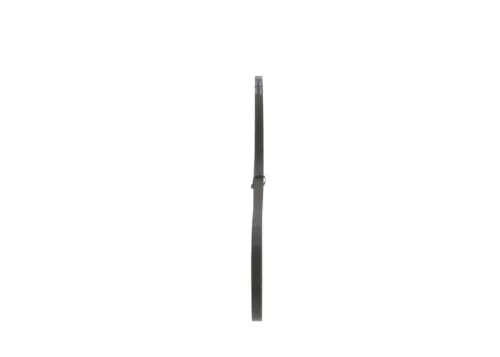 BOSCH V-Belt (1987947636)