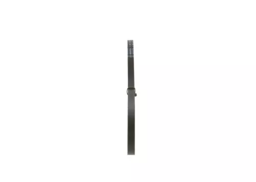 BOSCH V-Belt (1987947778)