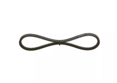 BOSCH V-Belt (1987947778)