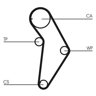 CONTINENTAL CTAM Timing Belt (CT973)