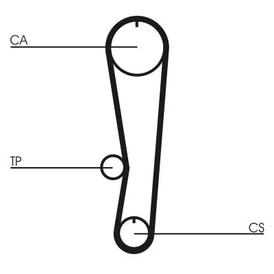 Timing Belt