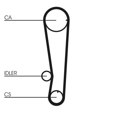 Timing Belt