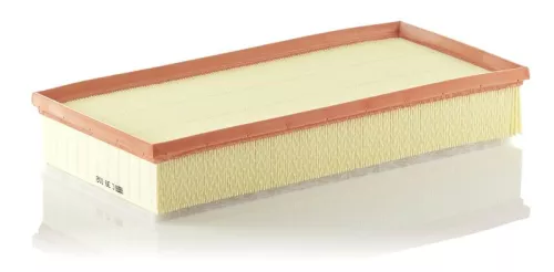 MANN-FILTER Air Filter (C39002)