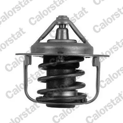 CALORSTAT by Vernet Thermostat, coolant (5076.82/J)
