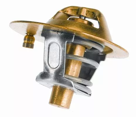 BorgWarner (Wahler) Thermostat, coolant (3119.82)