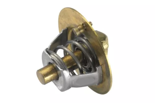 BorgWarner (Wahler) Thermostat, coolant (3119.82)