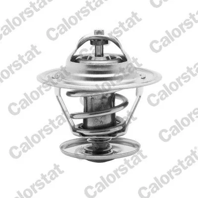 CALORSTAT by Vernet Thermostat, coolant (6273.87/J)