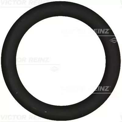 VICTOR REINZ Gasket, intake manifold (40-76919-00)
